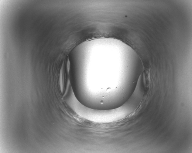 X0000065960045200603101433