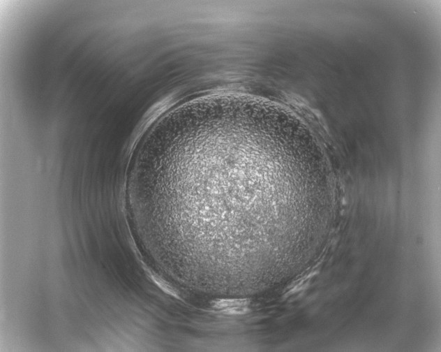 X0000065960051200603101432