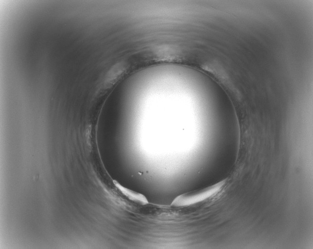 X0000065960066200603101433