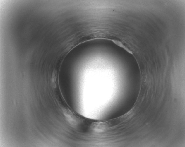 X0000065960082200603101433