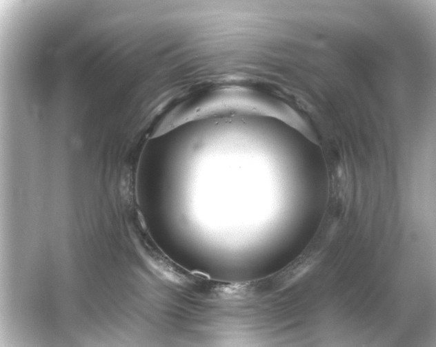 X0000065960092200603101433