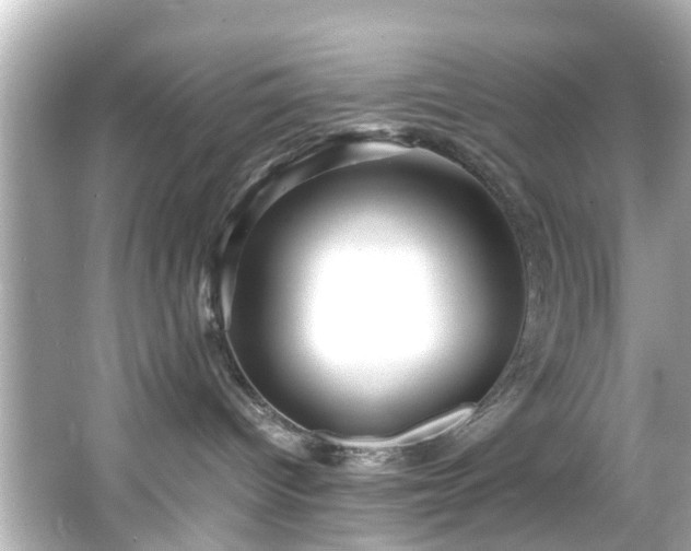 X0000065960096200603101433