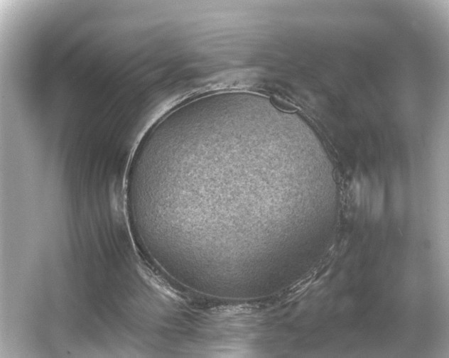 X0000065960100200603101432