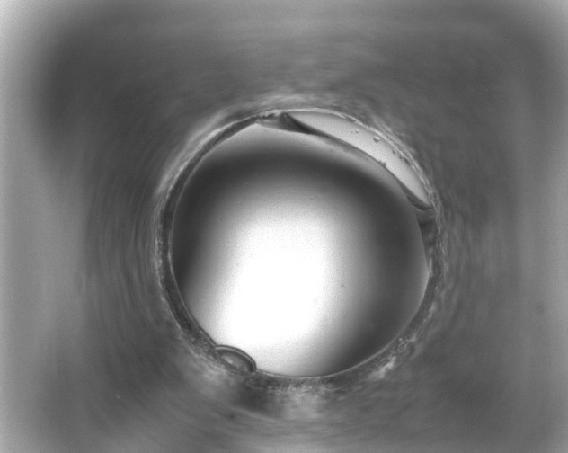 X0000065960103200603101432