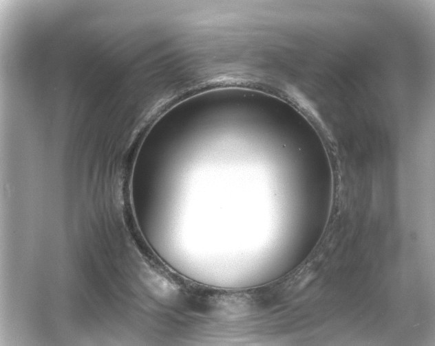 X0000065960106200603101432