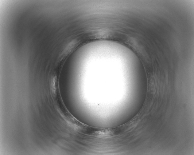 X0000065960118200603101432