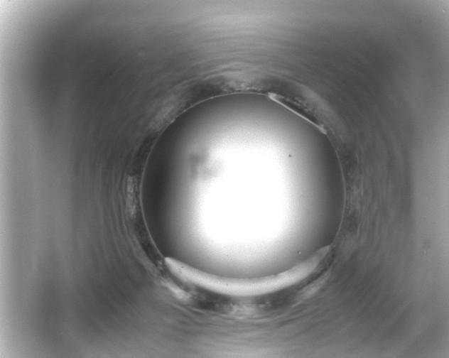 X0000065960121200603101432