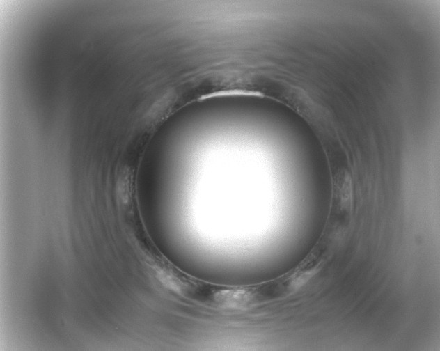 X0000065960133200603101432