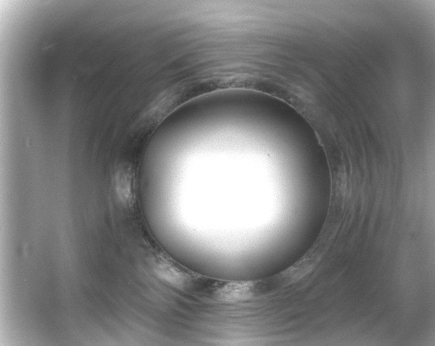 X0000065960138200603101432