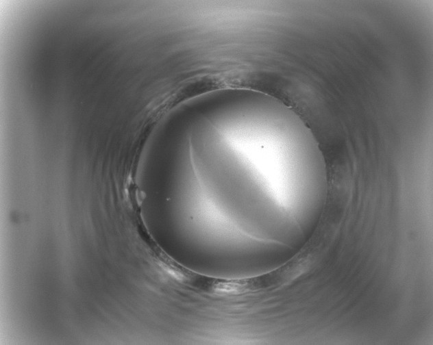 X0000065960139200603101432