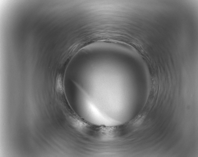 X0000065960143200603101432