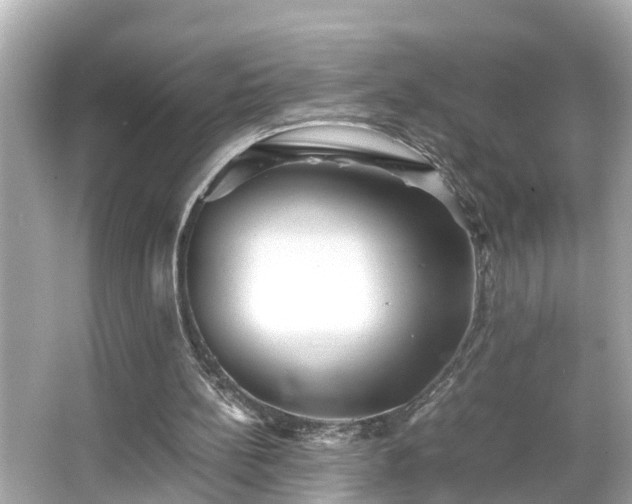 X0000065960148200603101431