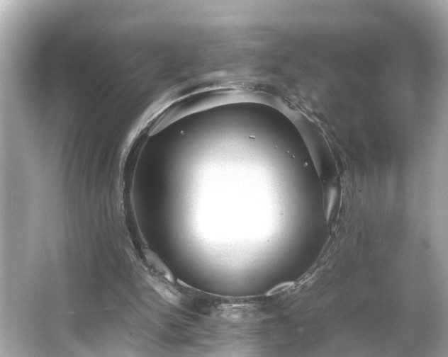 X0000065960150200603101431