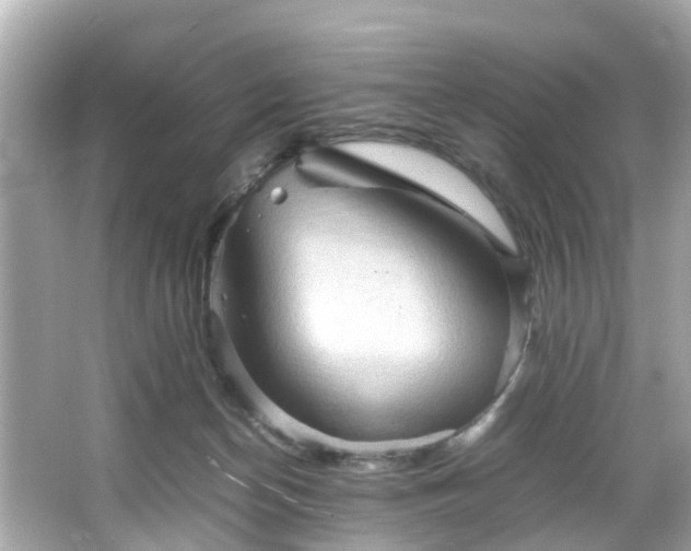 X0000065960174200603101431
