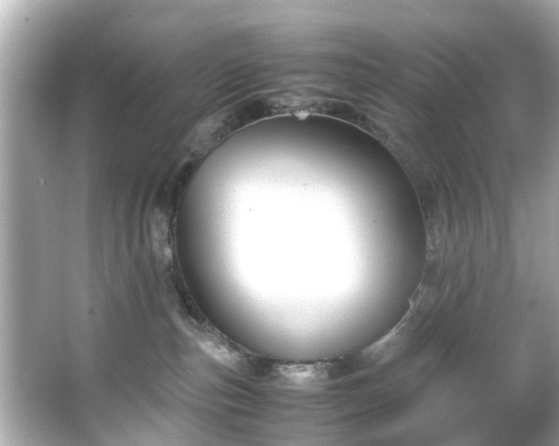 X0000065960187200603101432