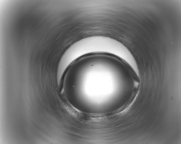 X0000065960190200603101432
