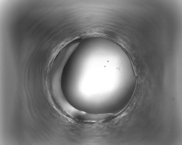 X0000065960193200603101431