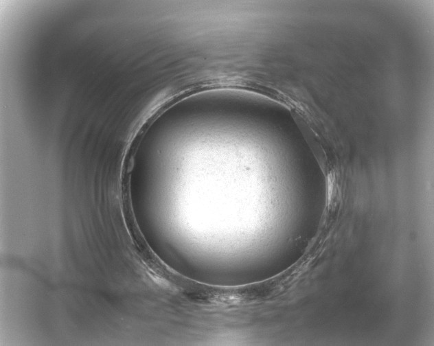 X0000065960195200603101431