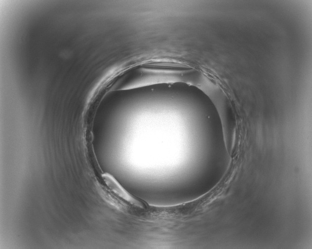 X0000065960197200603101431