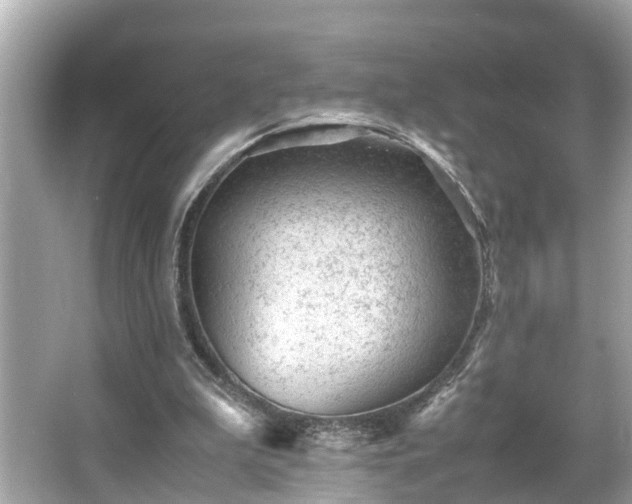 X0000065960199200603101431