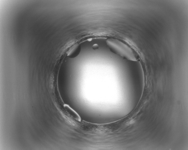X0000065960201200603101431