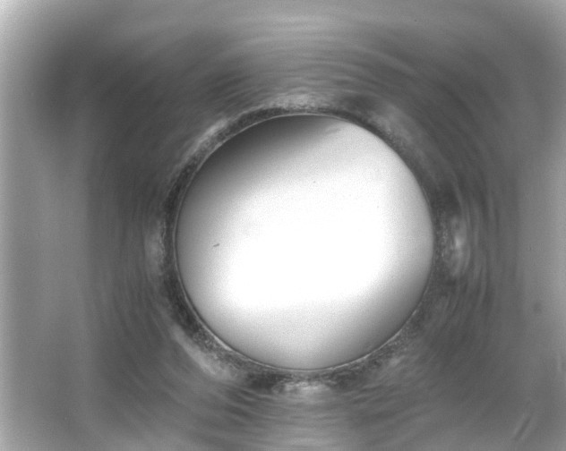 X0000065960208200603101431