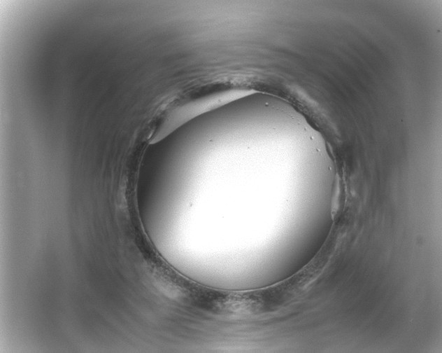 X0000065960209200603101431