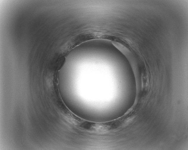 X0000065960221200603101430