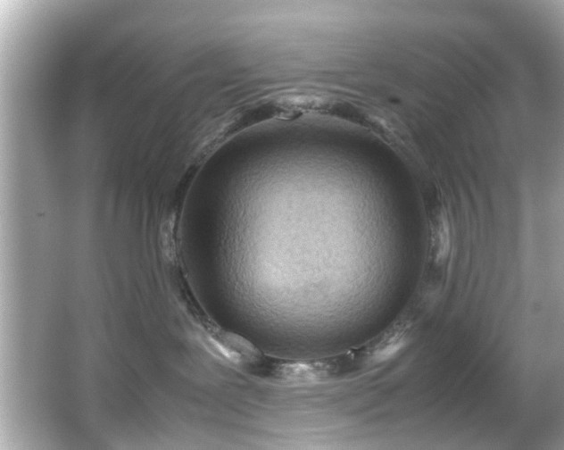 X0000065960239200603101430