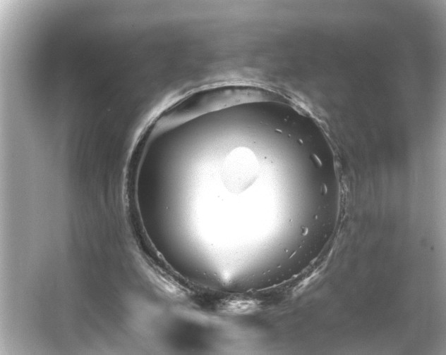 X0000065960248200603101429