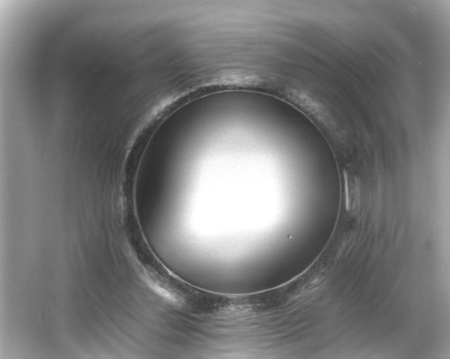 X0000065960252200603101429