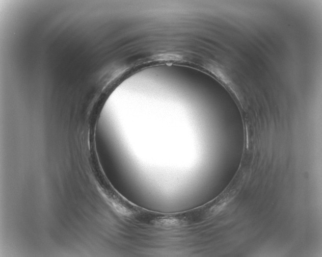 X0000065960253200603101429