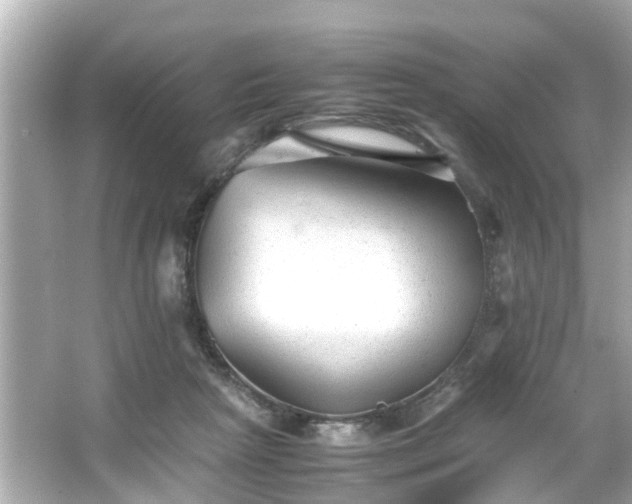 X0000065960265200603101430