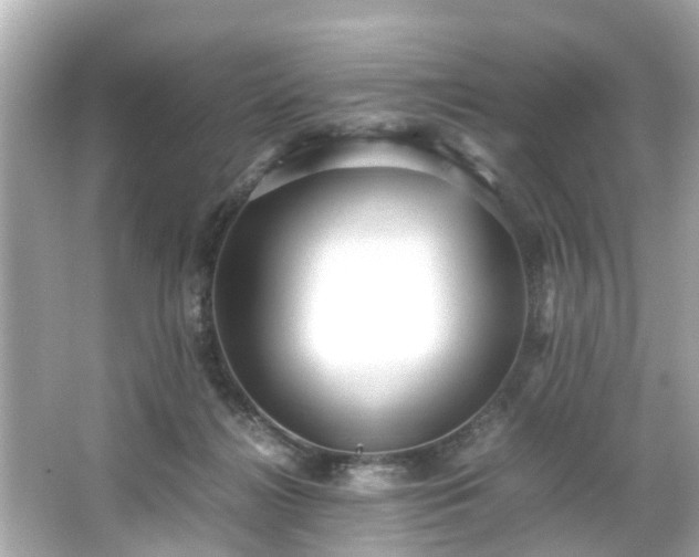 X0000065960268200603101430