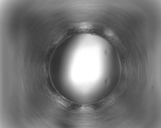 X0000065960270200603101430