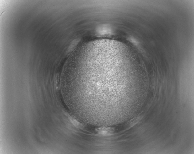 X0000065960273200603101430