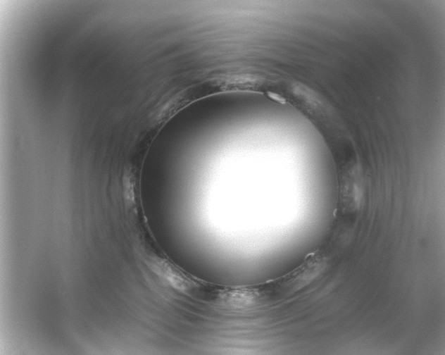 X0000065960282200603101430