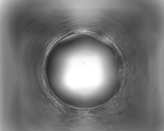 X0000065960289200603101429