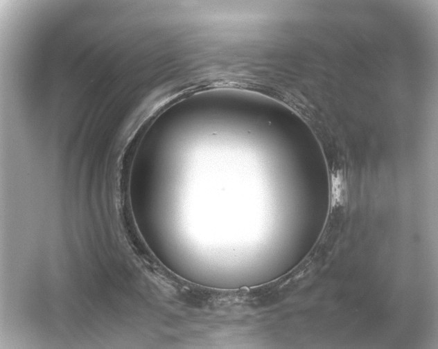 X0000065960291200603101429