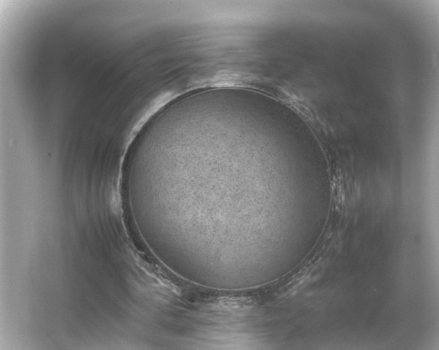 X0000065960292200603101429