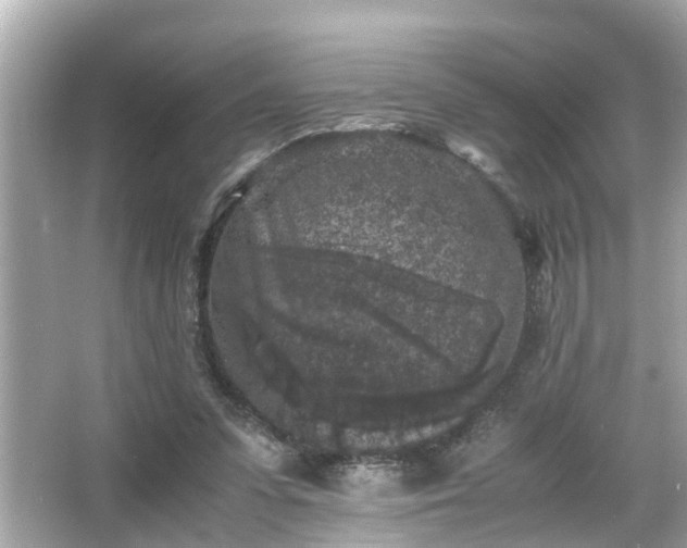 X0000065960303200603101429