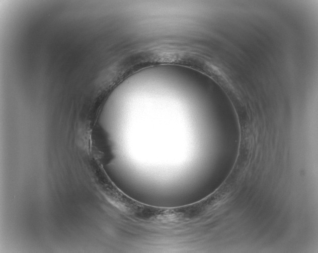 X0000065960307200603101429