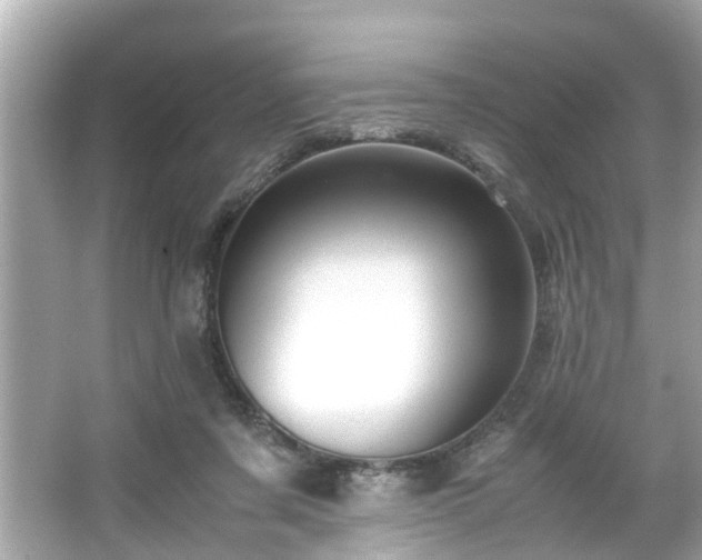 X0000065960311200603101429