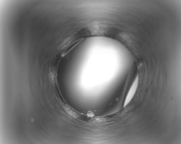 X0000065960329200603101429
