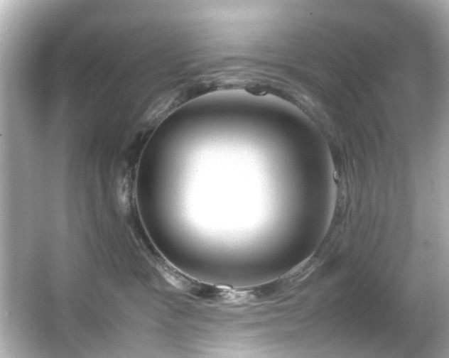 X0000065960333200603101428