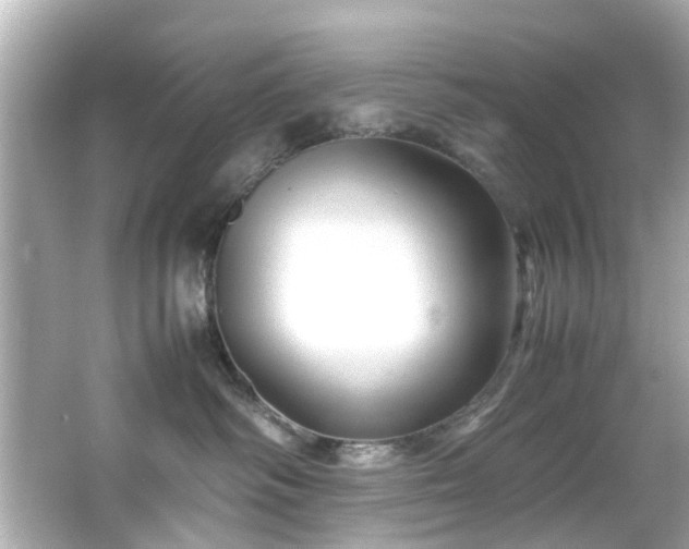 X0000065960334200603101428