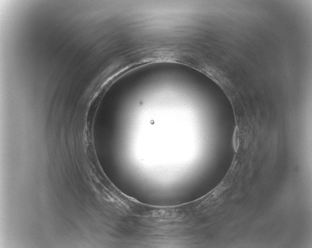 X0000065960338200603101428