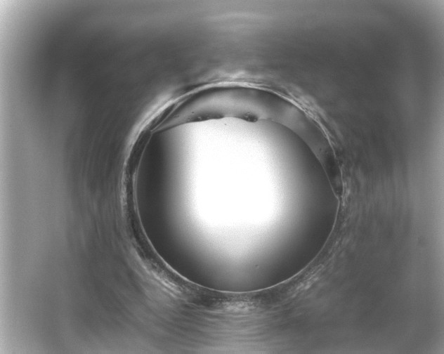 X0000065960344200603101428