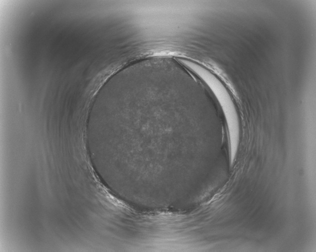 X0000065960385200603101428