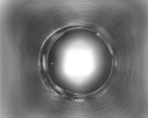 X0000065960388200603101428